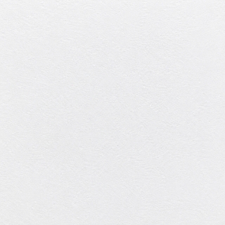 소프티아 화이트